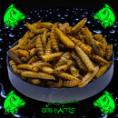 getrocknete Hermetia Larven - Hell (Soltatenfliegenlarven)